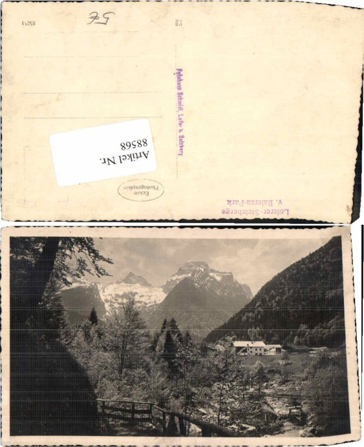 88568,Lofer Baierau Park photo card 1930
