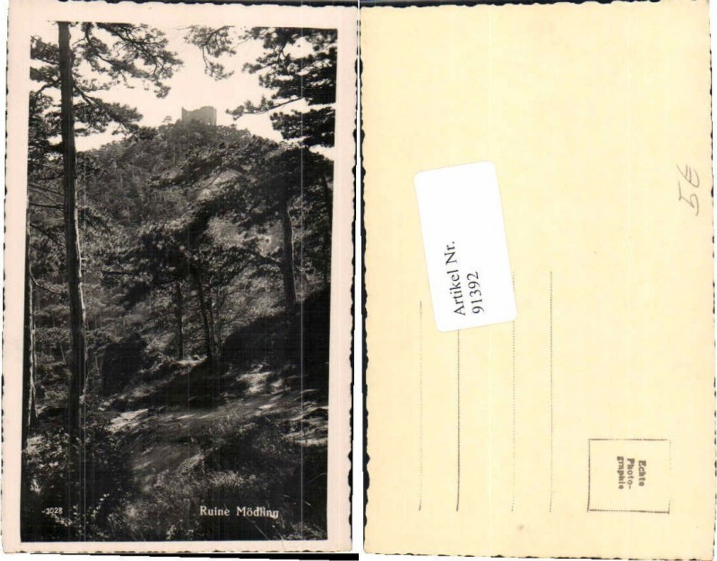 91392,Ruine Mödling Waldpartie 1930