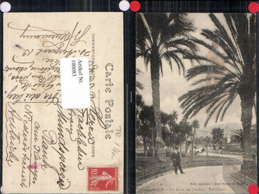 100083,Nice Un coin du jardin palm trees