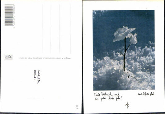 100943, Dr. Defner Igls No. Christmas