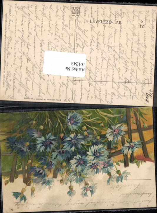 101243,Meissner & Buch 1898 A. Haller Blumen