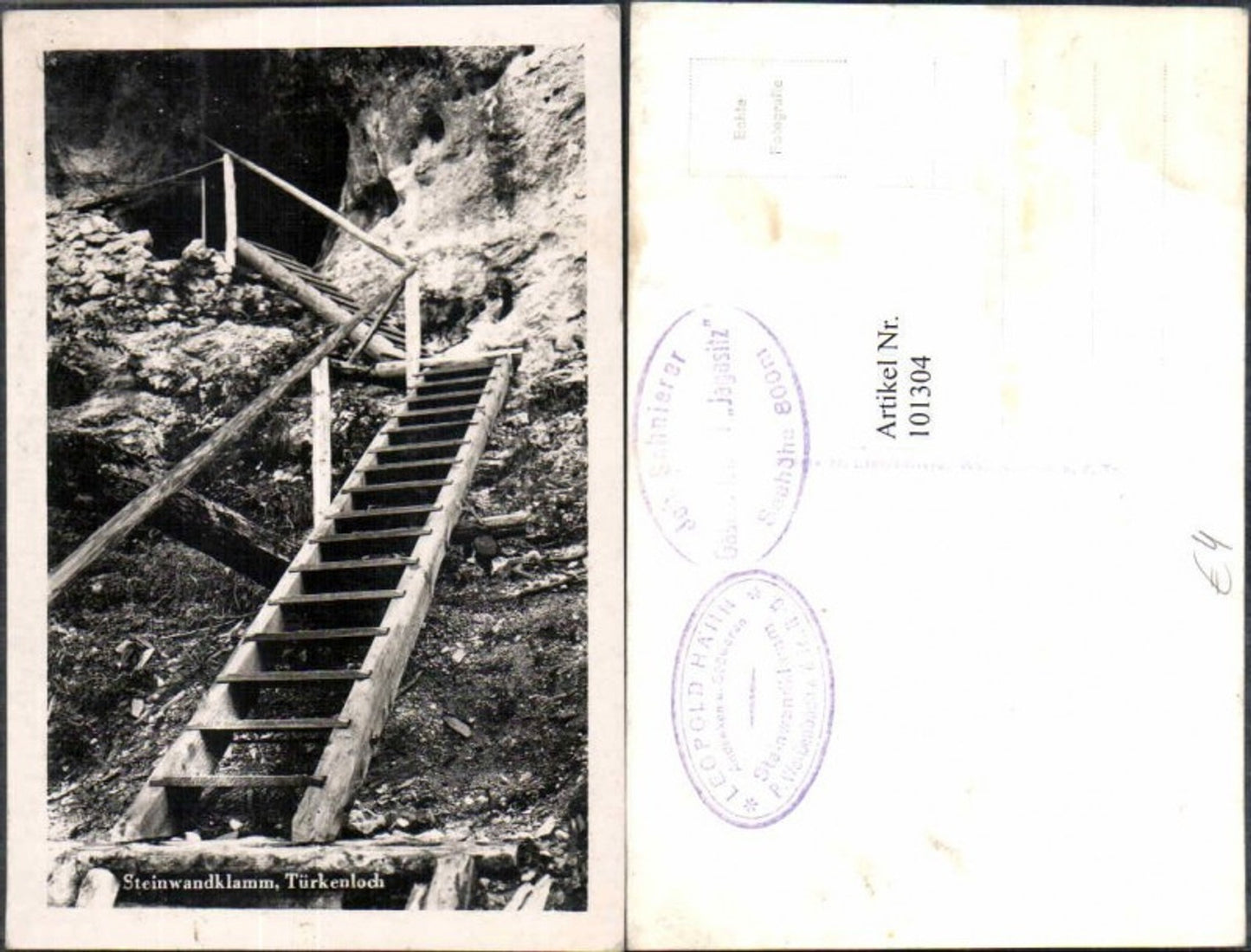 101304, Steinwandklamm Türkenloch b. Weissenbach ad Triesting 