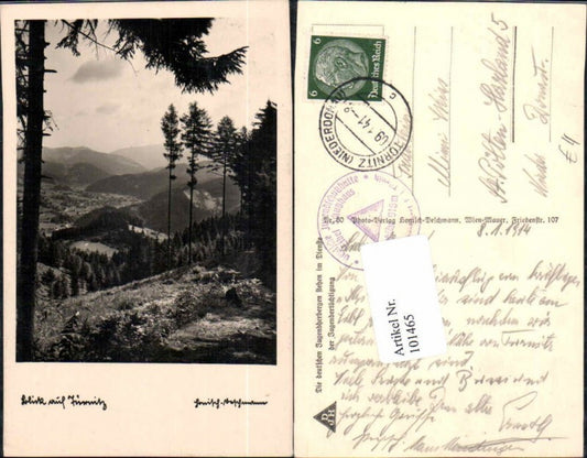 101465, View of Türnitz forest area 1941