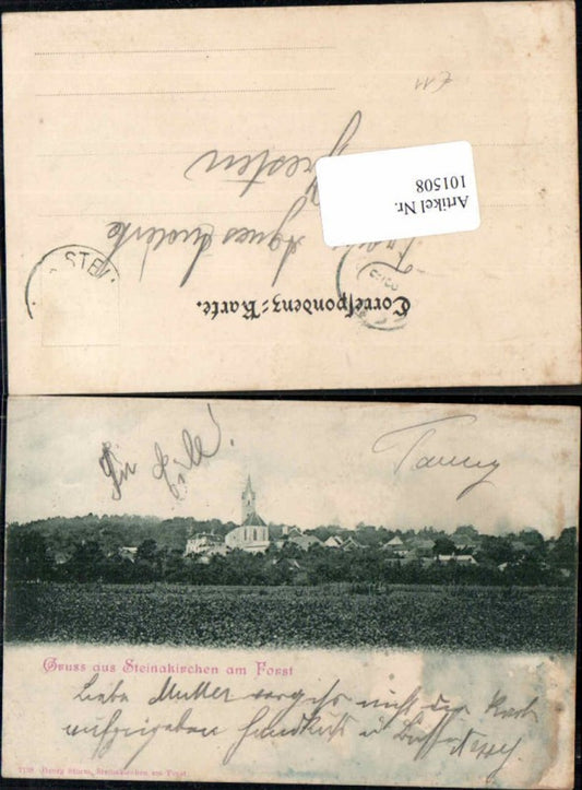 101508, Greetings from Steinakirchen am Forst, meadow scene 1900