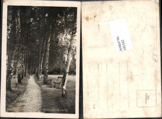 101542, Hadersdorf am Kamp Wegpartie 1930