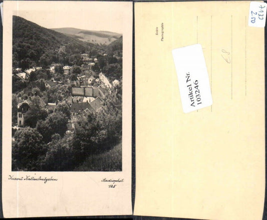 103246, Kaltenleutgeben pub Radiophoto No. 125