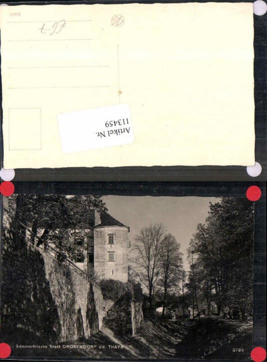 113459,Stadt Drosendorf a.d. Thaya Partie a. Stadtmauer