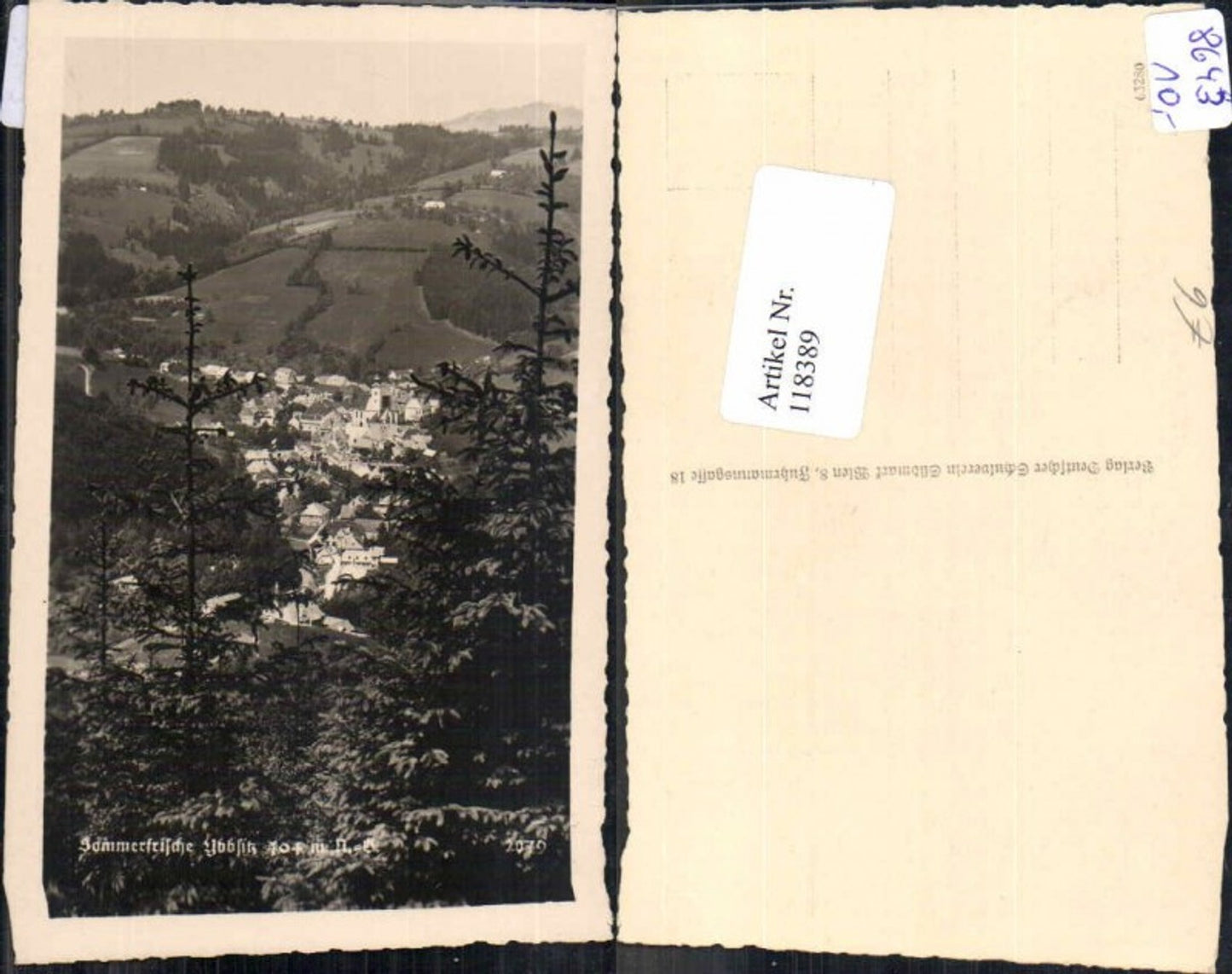 118389, Ybbsitz, view of the town 
