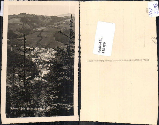 118389, Ybbsitz, view of the town 