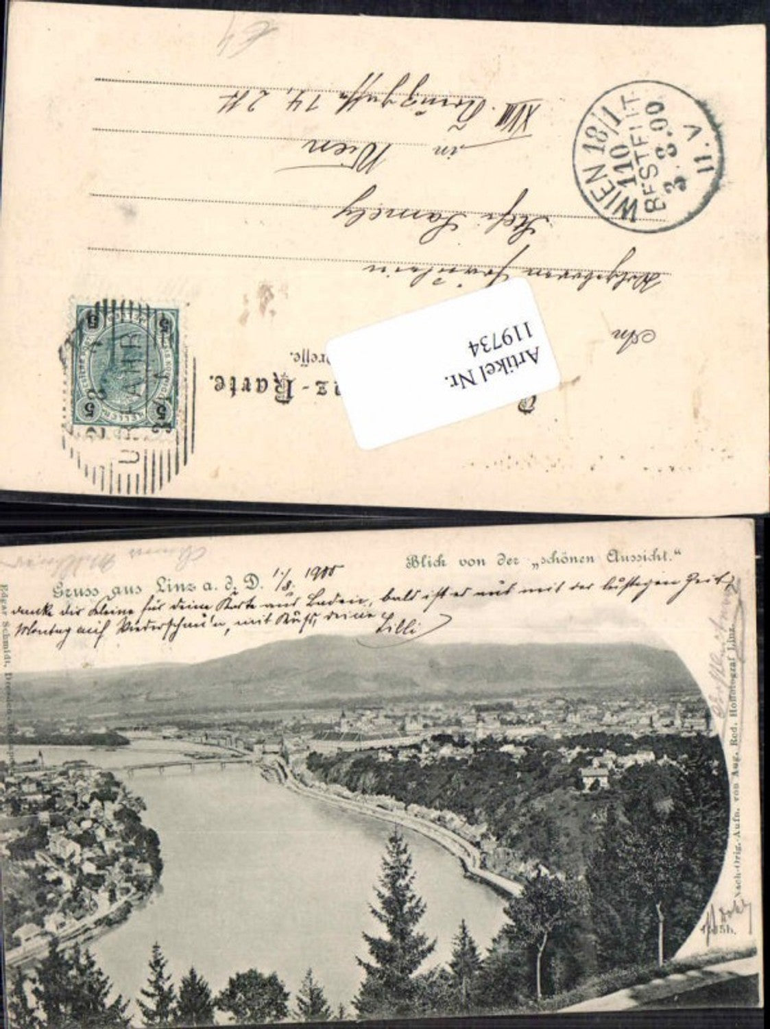 119734, Linz on the Danube, view of the beautiful panorama, 1900