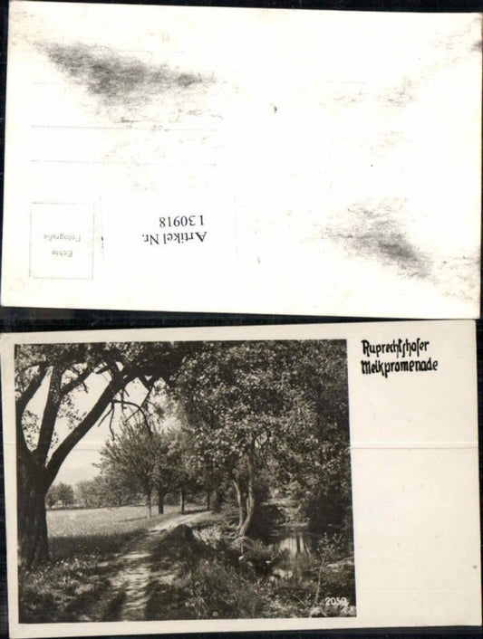 130918, Rare photo postcard of Ruprechtshofen near Melk, Melkpromenade, 1940