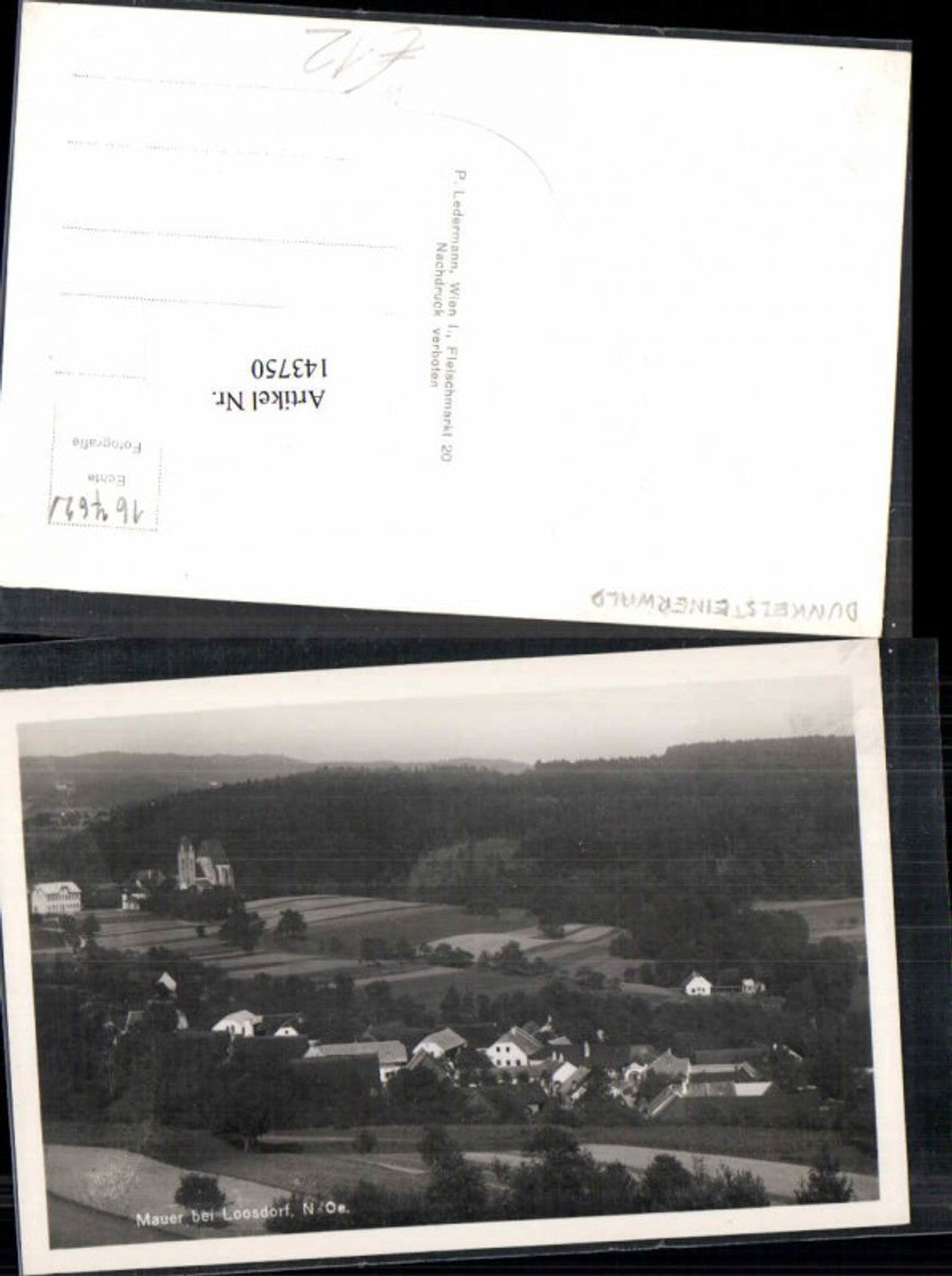 143750, Wall near Loosdorf 1930 Dunkelsteinerwald