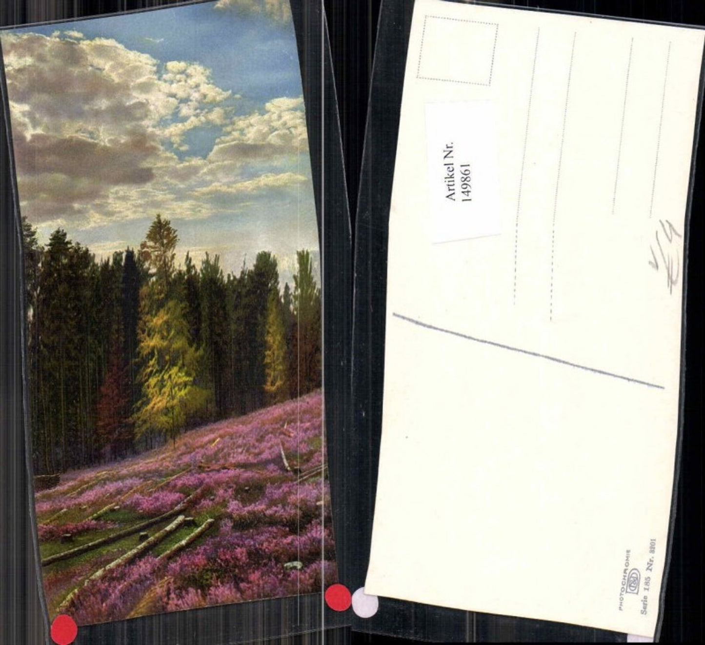 149861,Photochromie Nenke Ostermaier 185-3201 Flieder