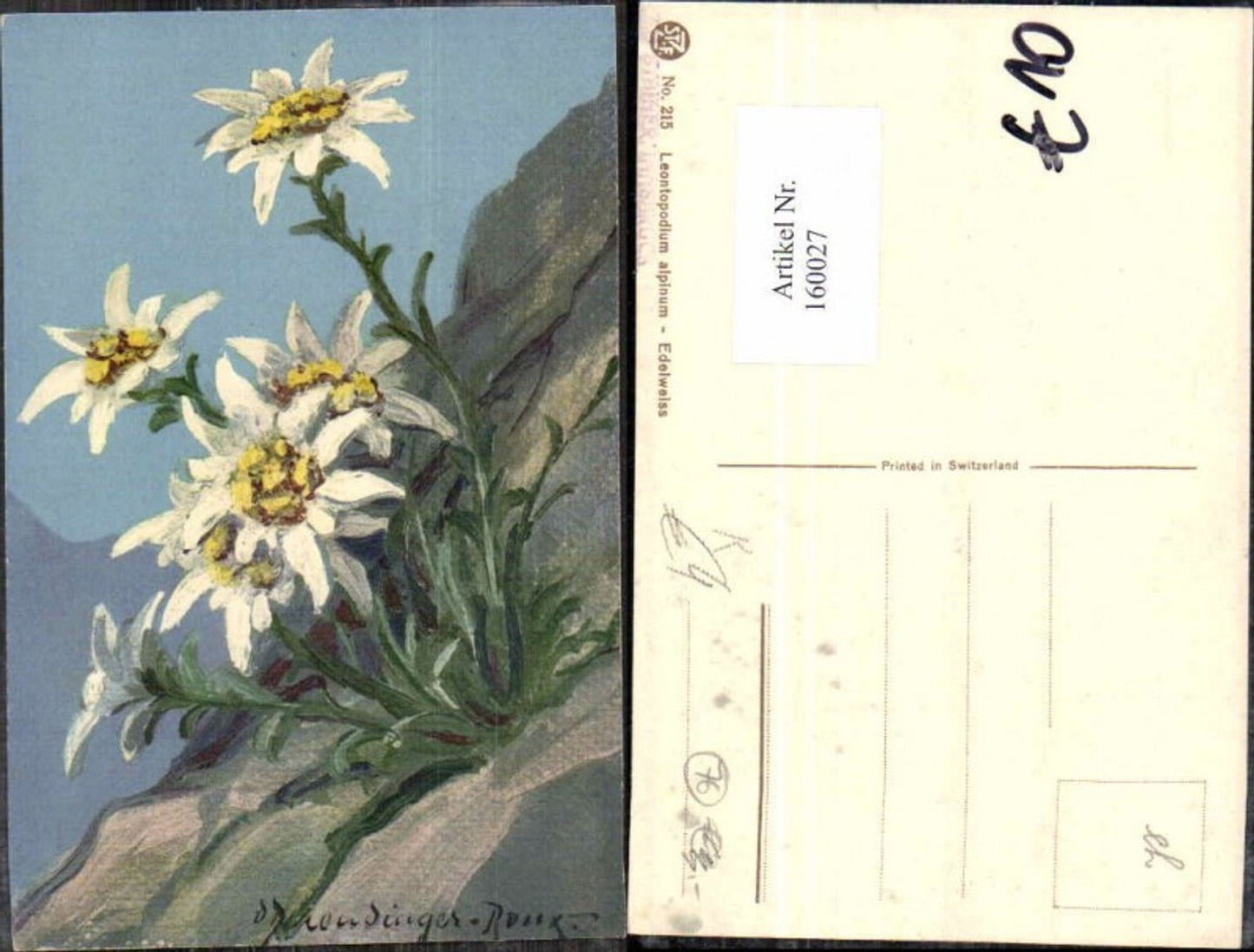 160027,D. Derendinger Roux Edelweiss Blumen