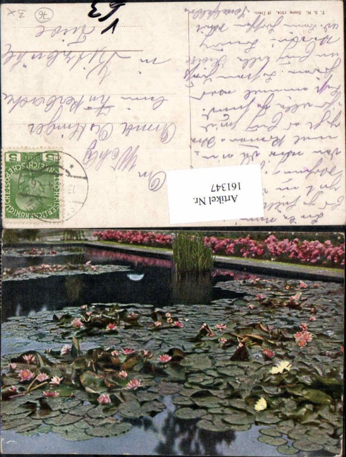 161347,Theo Stroefer 1264 Seerosen Rosen Blumen
