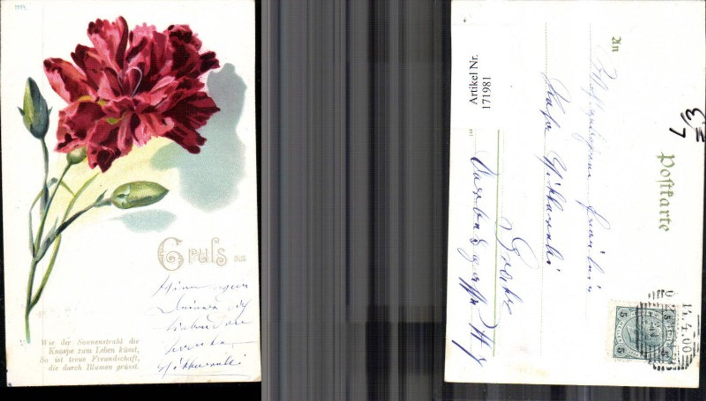 171981,Künstler Ak Litho Blume Nelke Spruch