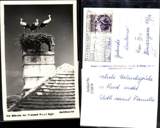 173079, Freistadt Rust Storks Stork Stork's Nest