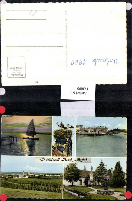 173090, Freistadt Rust Total Neusiedlersee Storks Stork Multi-view postcard 