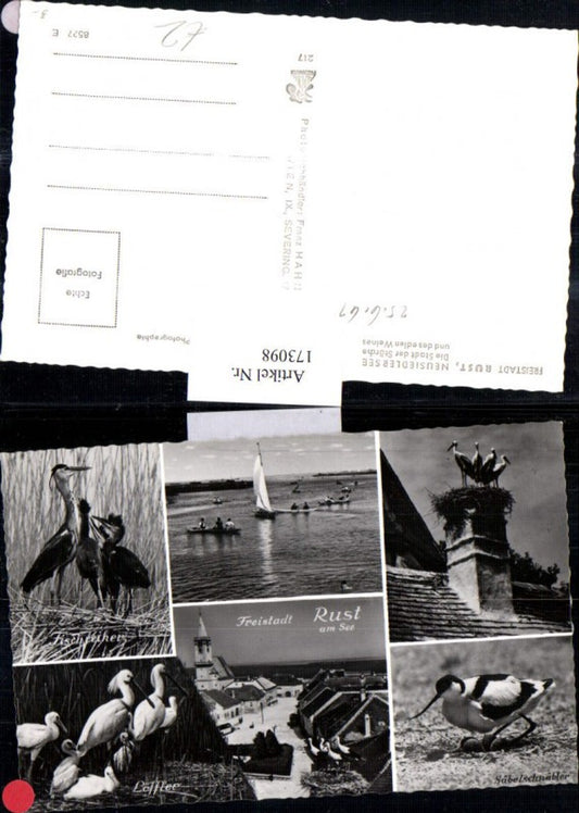 173098, Freistadt Rust on Lake Neusiedl, town view, sailing ship, storks, multi-view postcard 