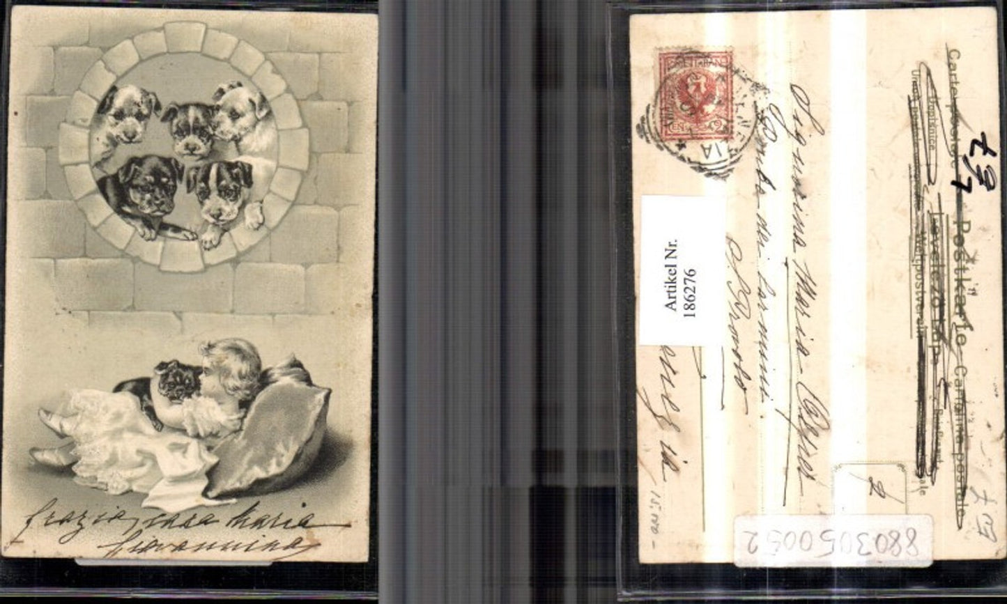 186276,Embossed Lithograph Postcard Girl with Dress Dogs