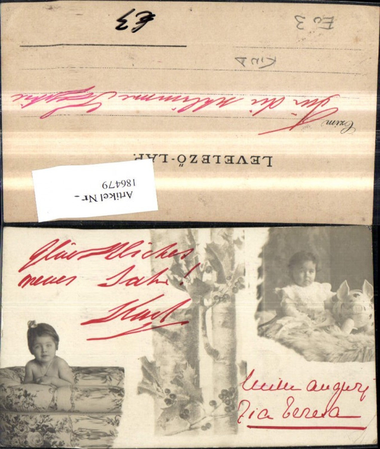 186479,Foto Ak Kind Mädchen m. Spielzeugschwein Baumast
