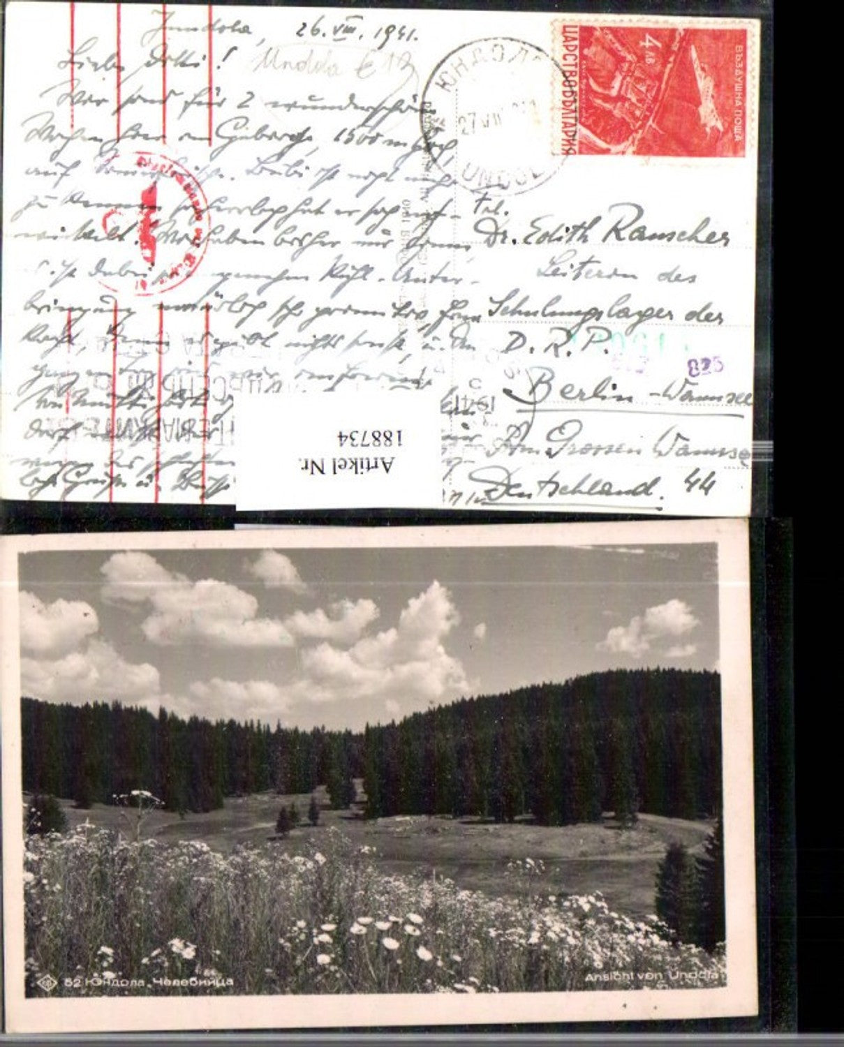188734, Bulgaria View of Undola Meadow Forest