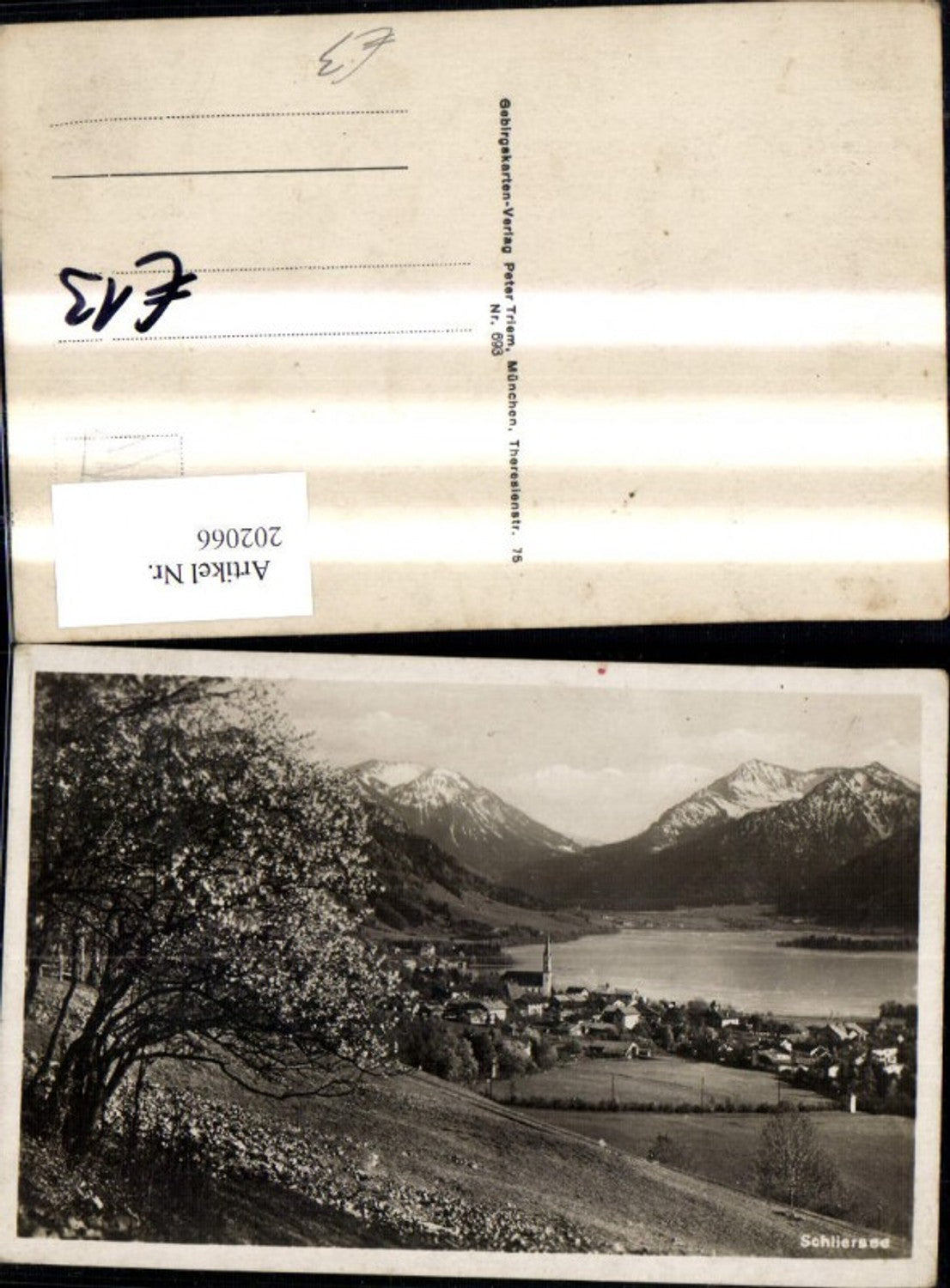 202066,Schliersee Ansicht m. See Baum
