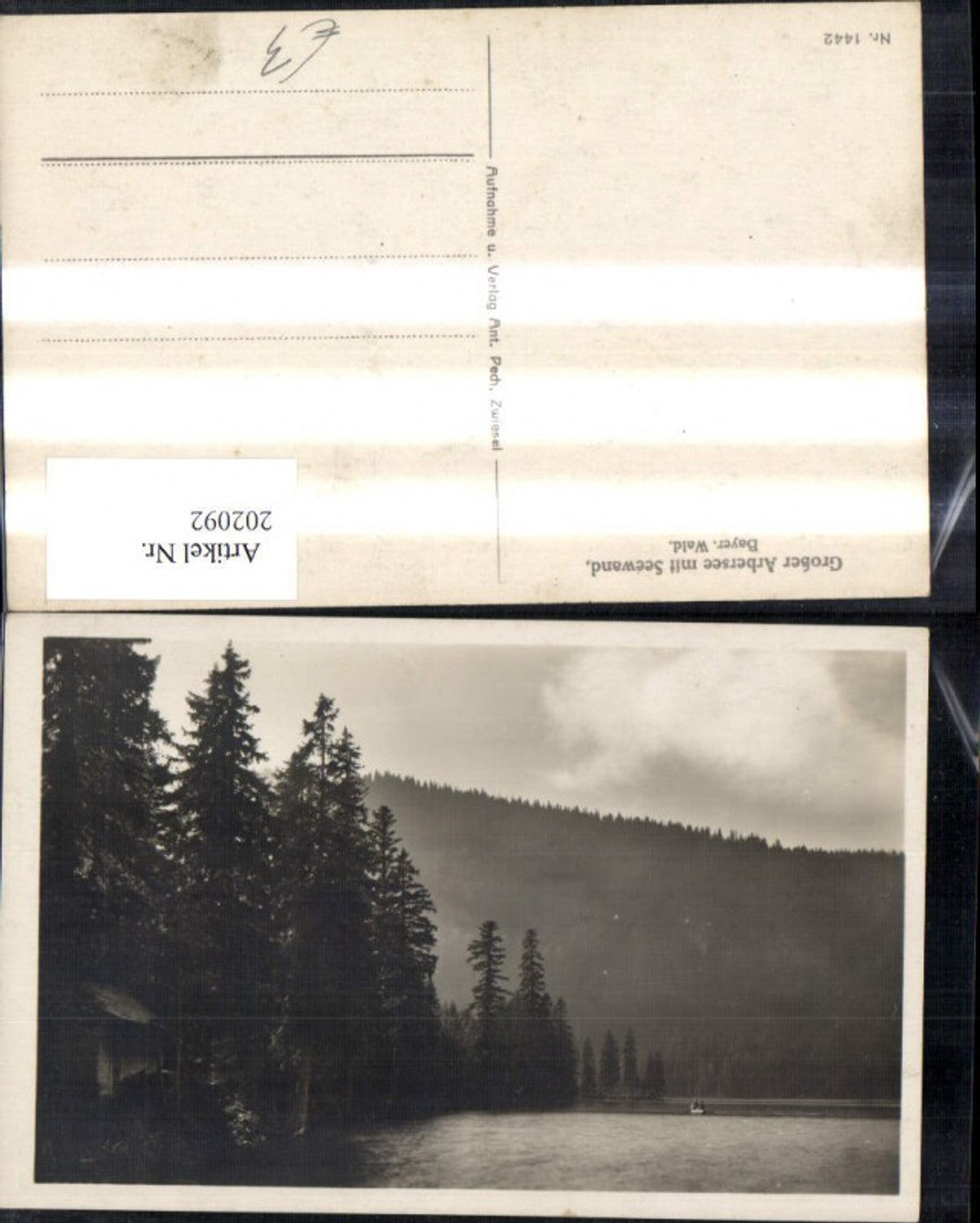 202092,Großer Arbersee m. Seewand Bayerisch Eisenstein