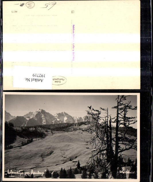 192719,Foto Ak Lofereralpe geg. Steinberge Lofer