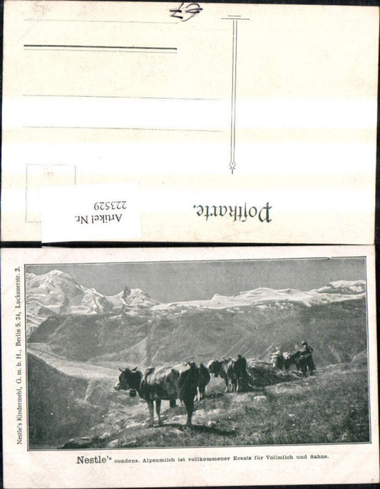 223529, Advertisement Ak Nestle condensed Alpine milk i. perfect substitute for whole milk and cream Cows from mountain scenery