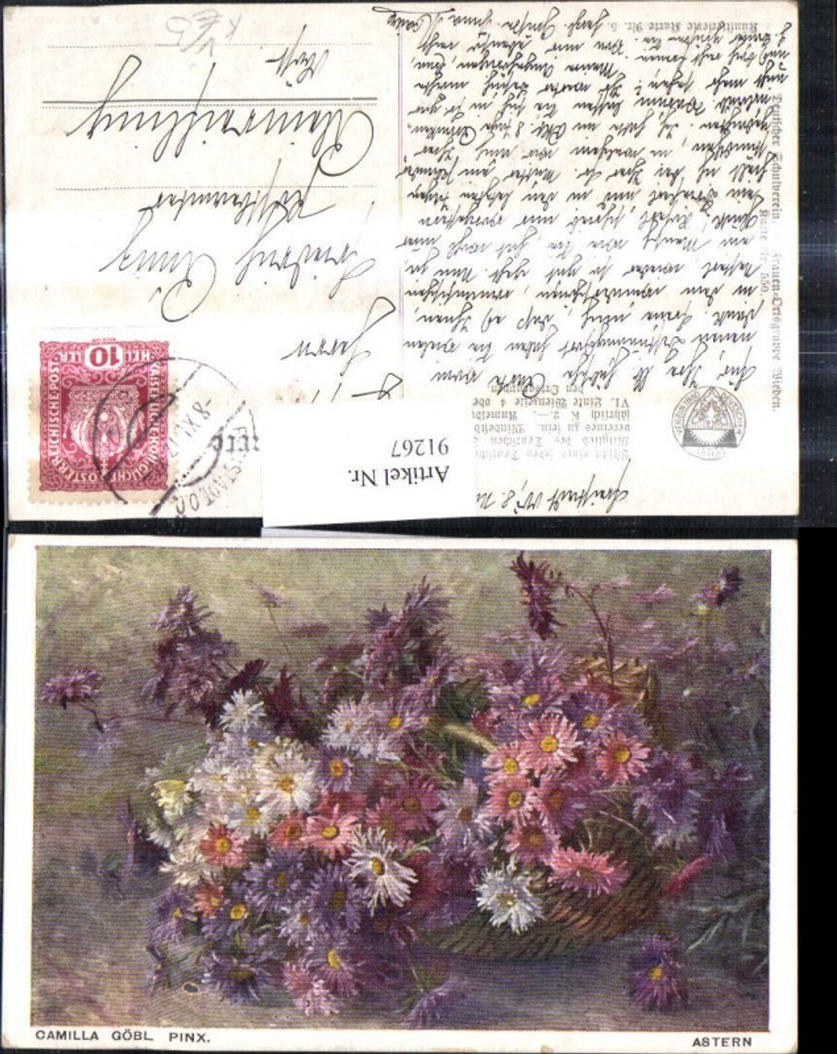 91267,Deutscher Schulverein 550 Camilla Göbl Astern Blumen