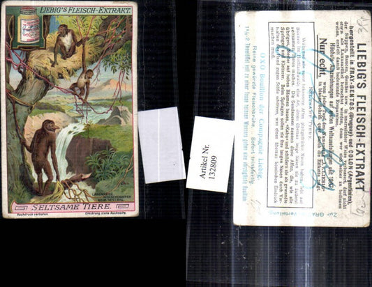 132809, Advertisement Liebig Meat Extract Oxo Bouillon of the Compagnie Liebig Meat Broth