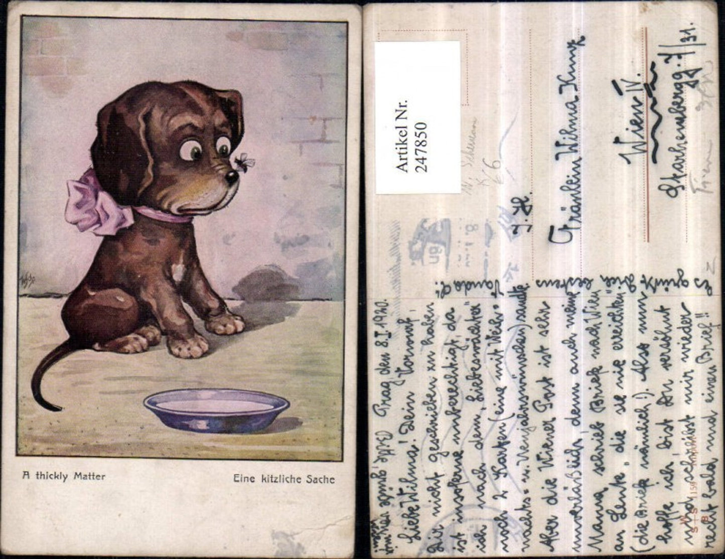 247850, Artist AK Willi Scheuermann John Wills A ticklish thing Fly sitting on the nose of a puppy