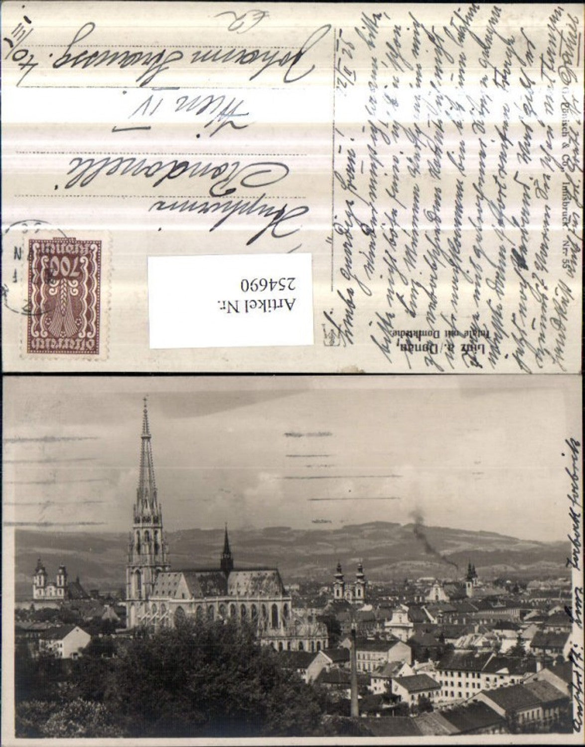 254690, Linz on the Danube, partial view with cathedral church