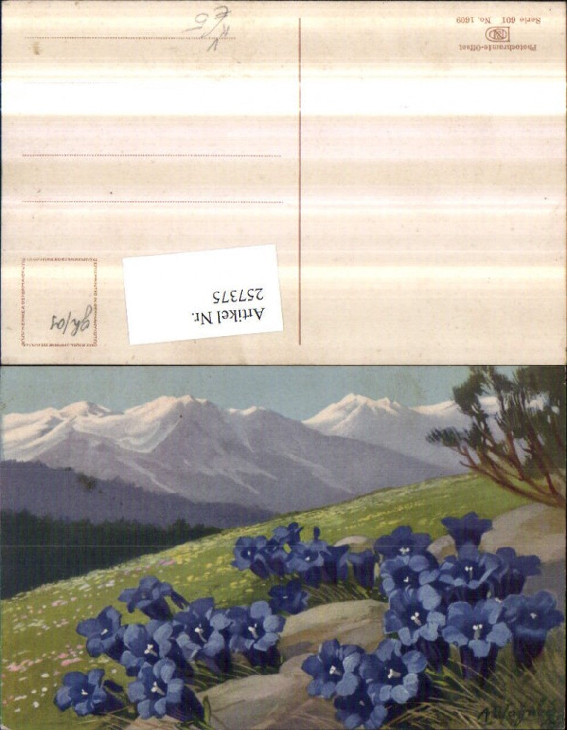 257375,Künstler AK A. Wagner Enzian Bergkulisse pub Photochromie Nenke u. Ostermaier 601/1609