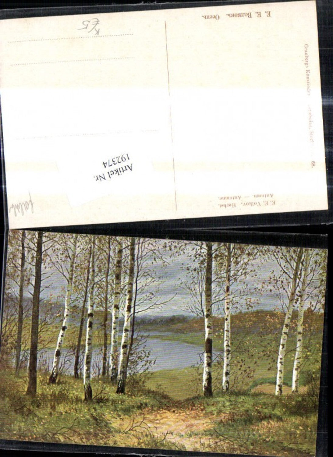 192374,Künstler Ak E. E. Volkov Herbst Birken Bäume Landschaft