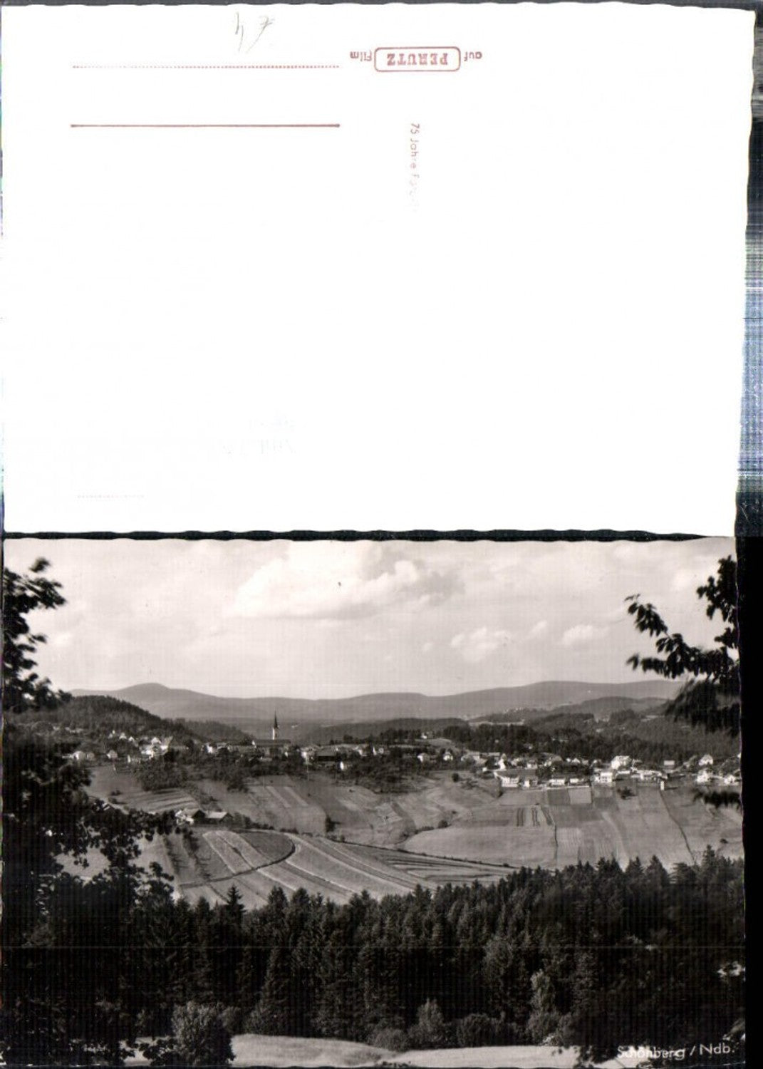 308517, Schönberg Totale