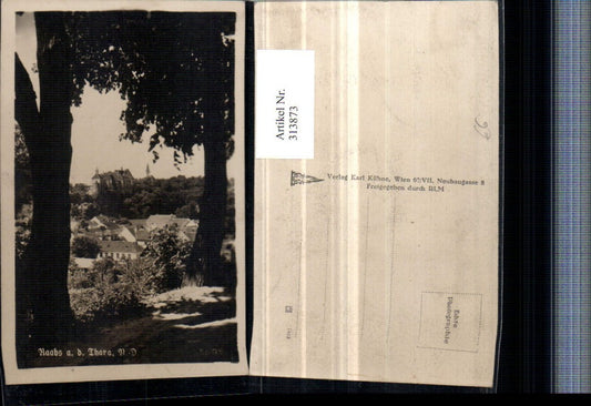 313873,Raabs an d. Thaya Teilansicht m. Burg