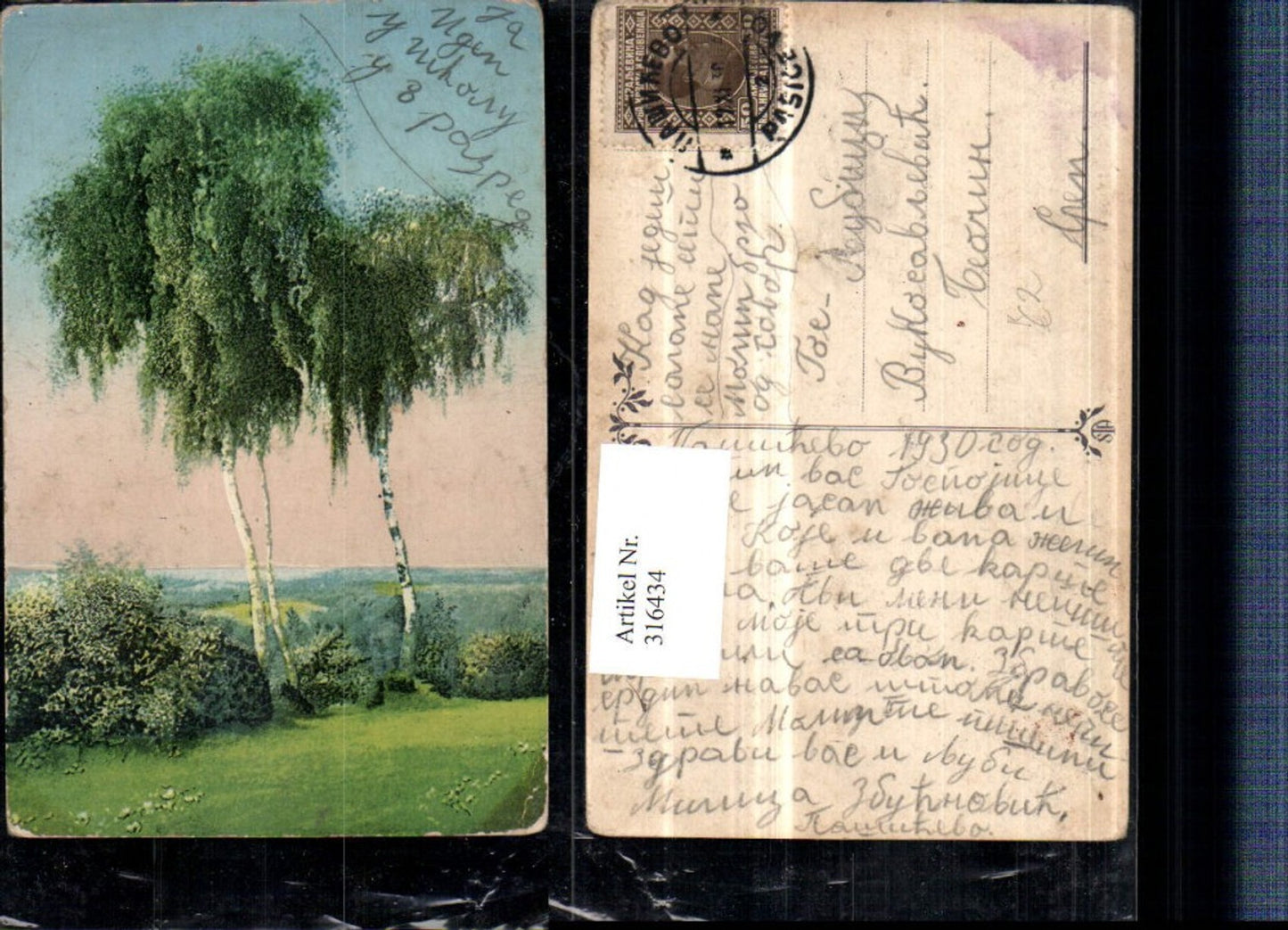 316434,Künstler AK Landschaft Bäume Birken