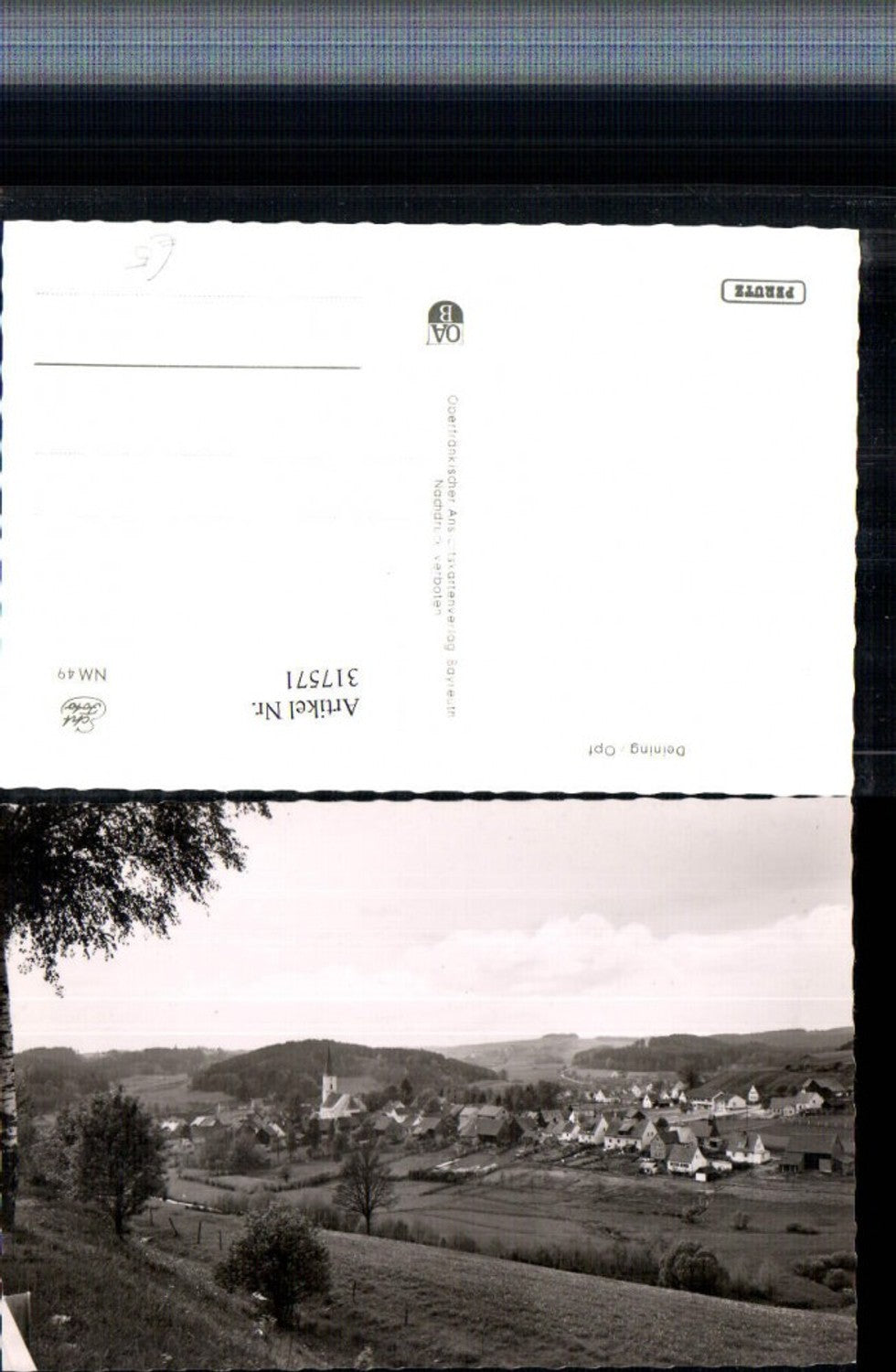 317571, View of Deining (total)
