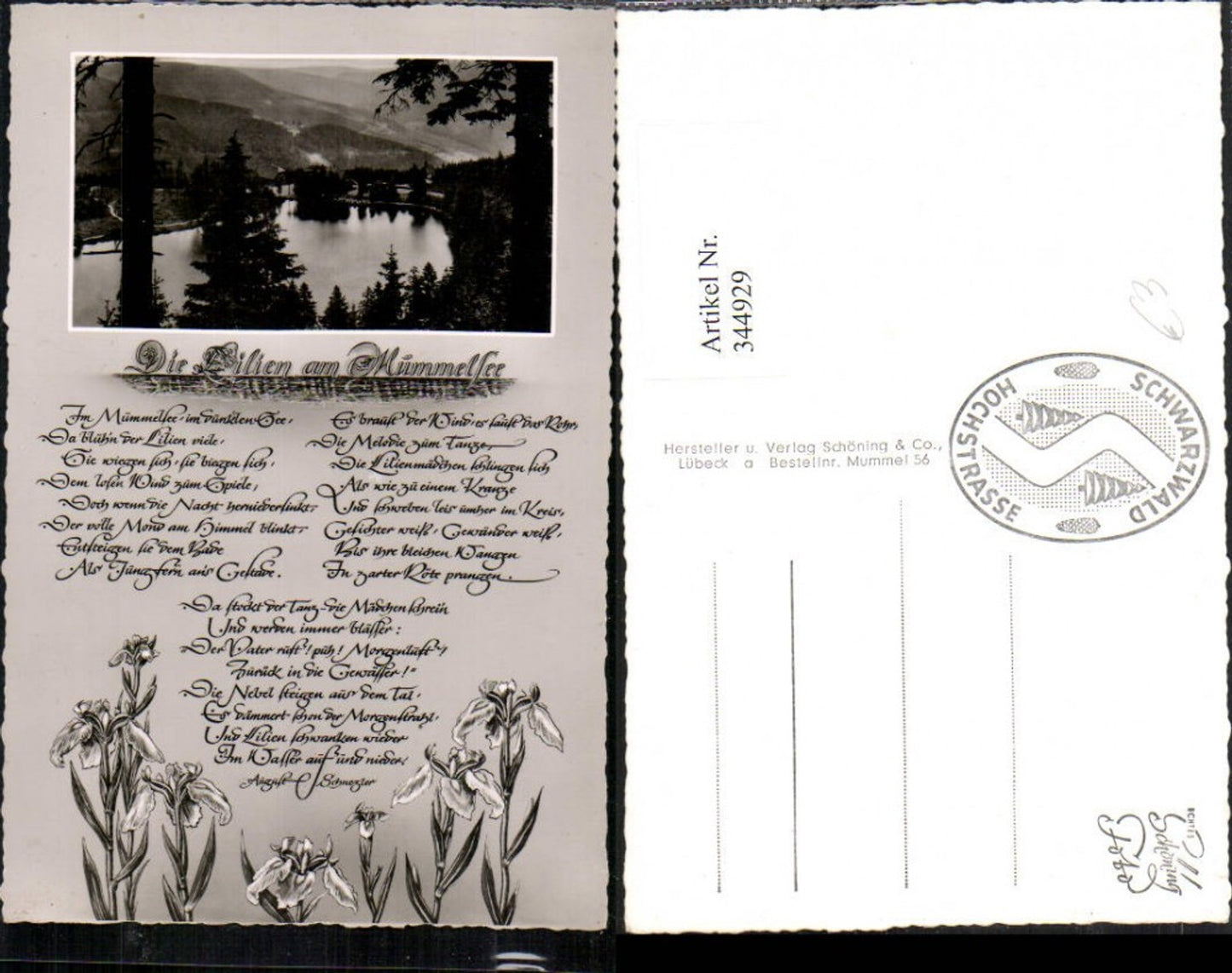 344929,The Lilies at Mümmelsee Lake near Seebach Poem Text Flowers