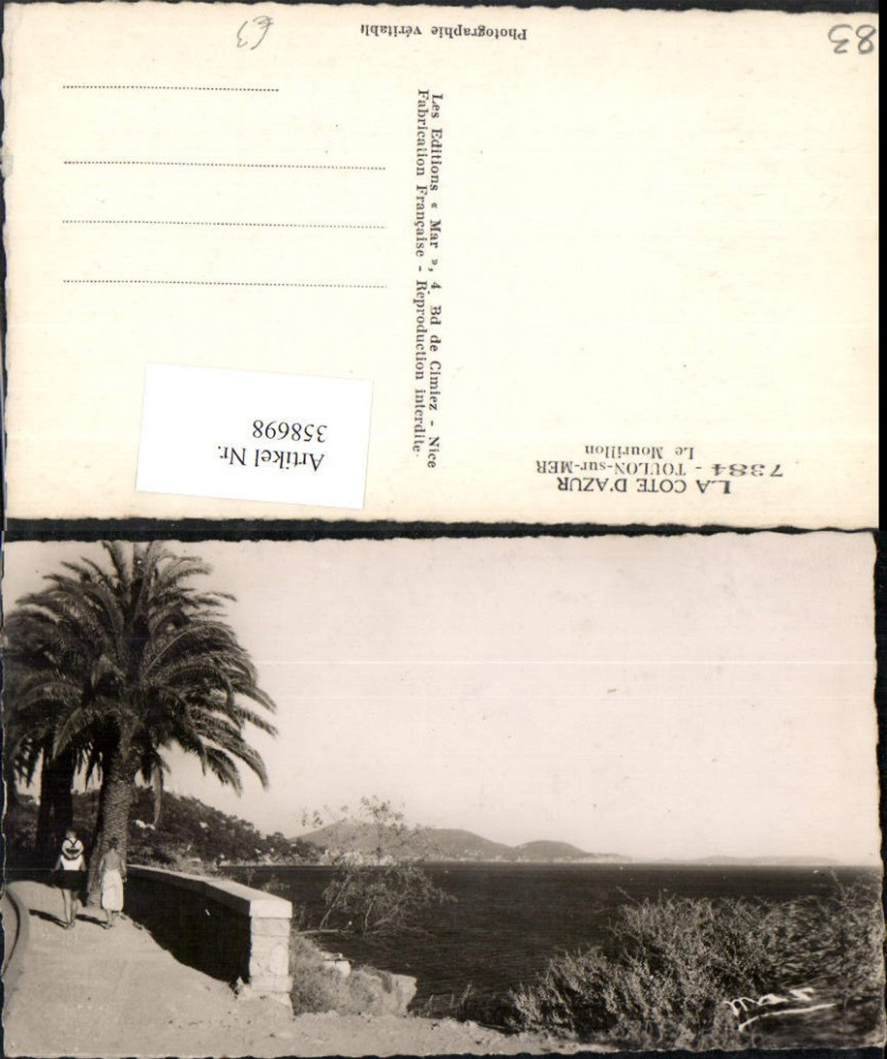 358698,Provence-Alpes-Cote-Azur Var Toulon-sur-Mer Le Mourillon Küste Palmen
