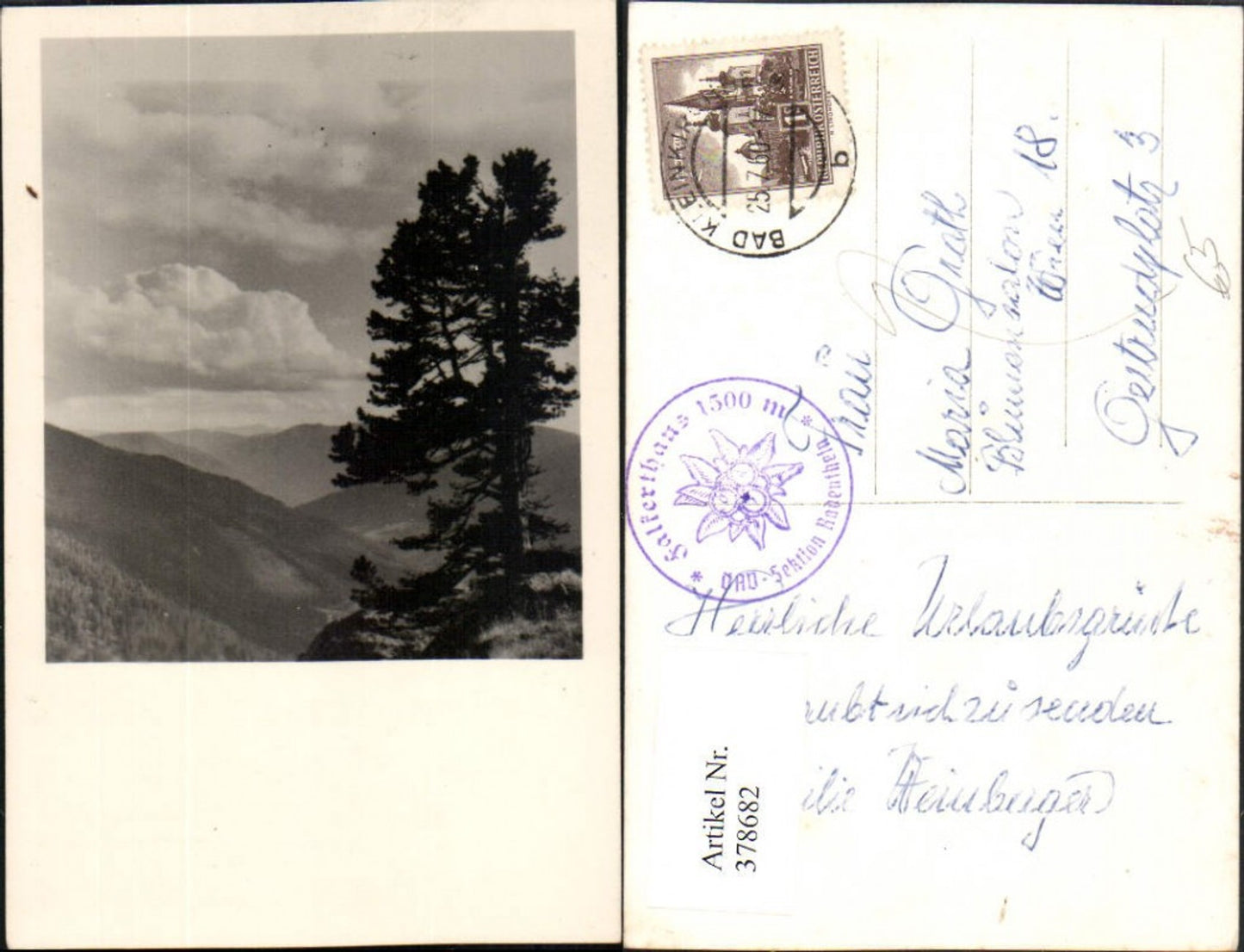 378682, Bad Kleinkirchheim, mountain scenery, tree