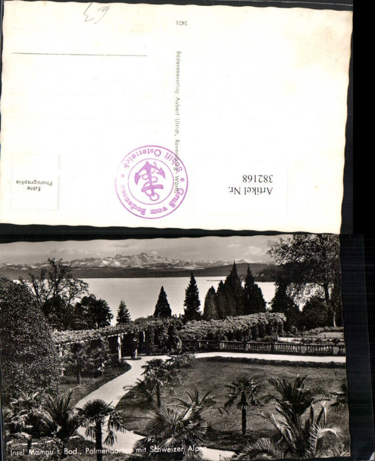 382168, Mainau Island in Lake Constance near Constance, Palm Garden with Swiss Alps