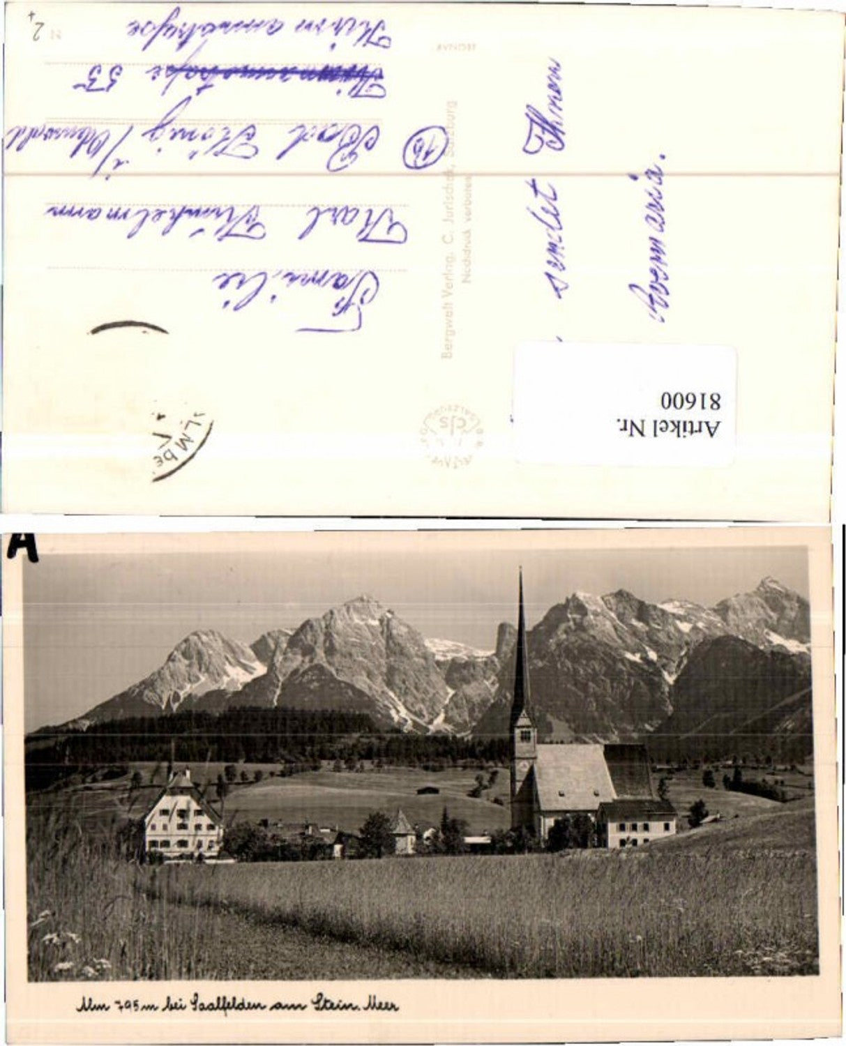 81600,Alm near Saalfelden, meadow area