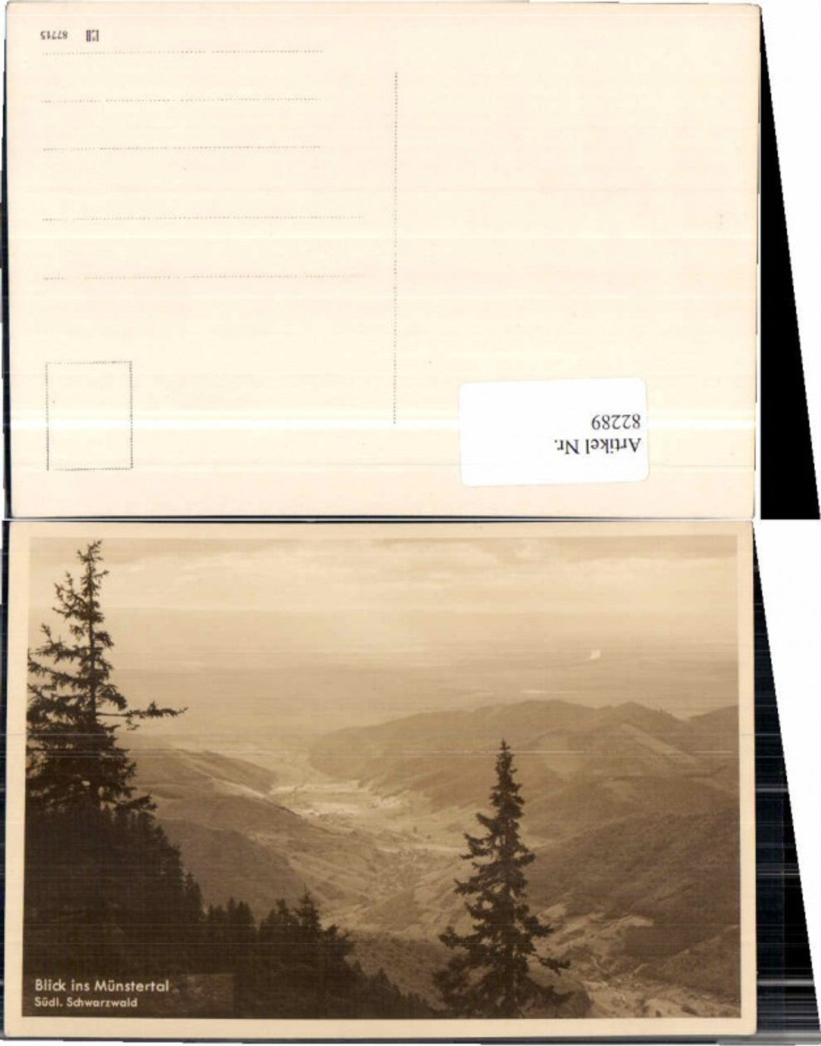 82289,Blick ins Münstertal Schwarzwald