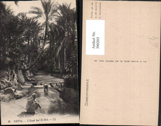 390203,Tunisia Nefta L'Oued Sed El-Bab Oasis Nomads Folk Types Palms