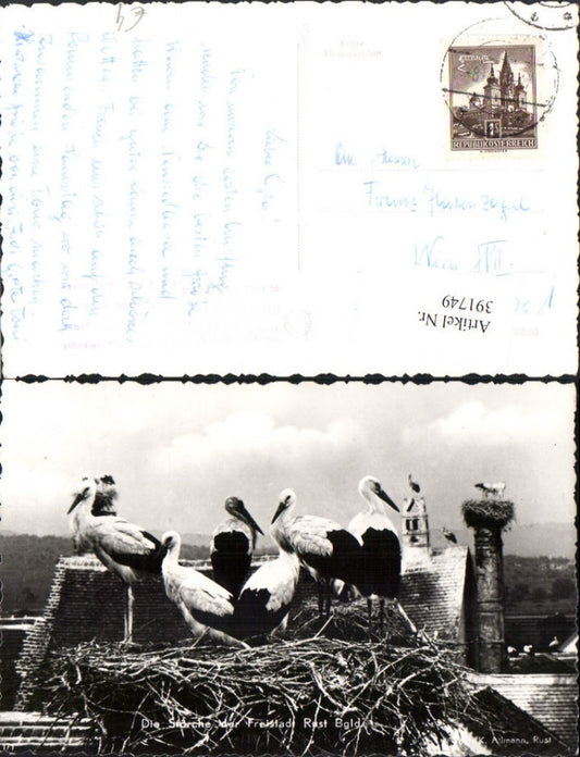 391749, Rust The Storks Stork's Nest Nest