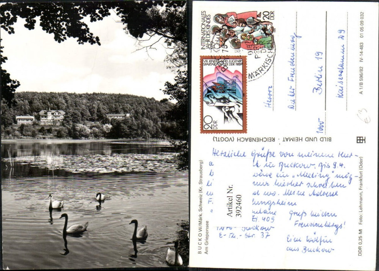 392460, Buckow in the Märkische Schweiz, Am Griepensee, Lake Swans