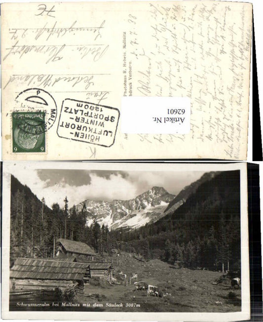 62601,Schwussneralm bei Mallnitz Kühe 1938
